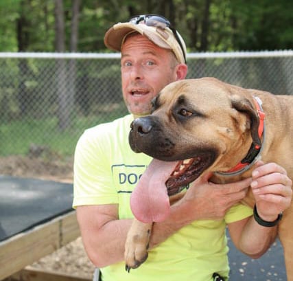 Washington Commanders recruit furry rookie, Meet Goldie, the service dog  in training!