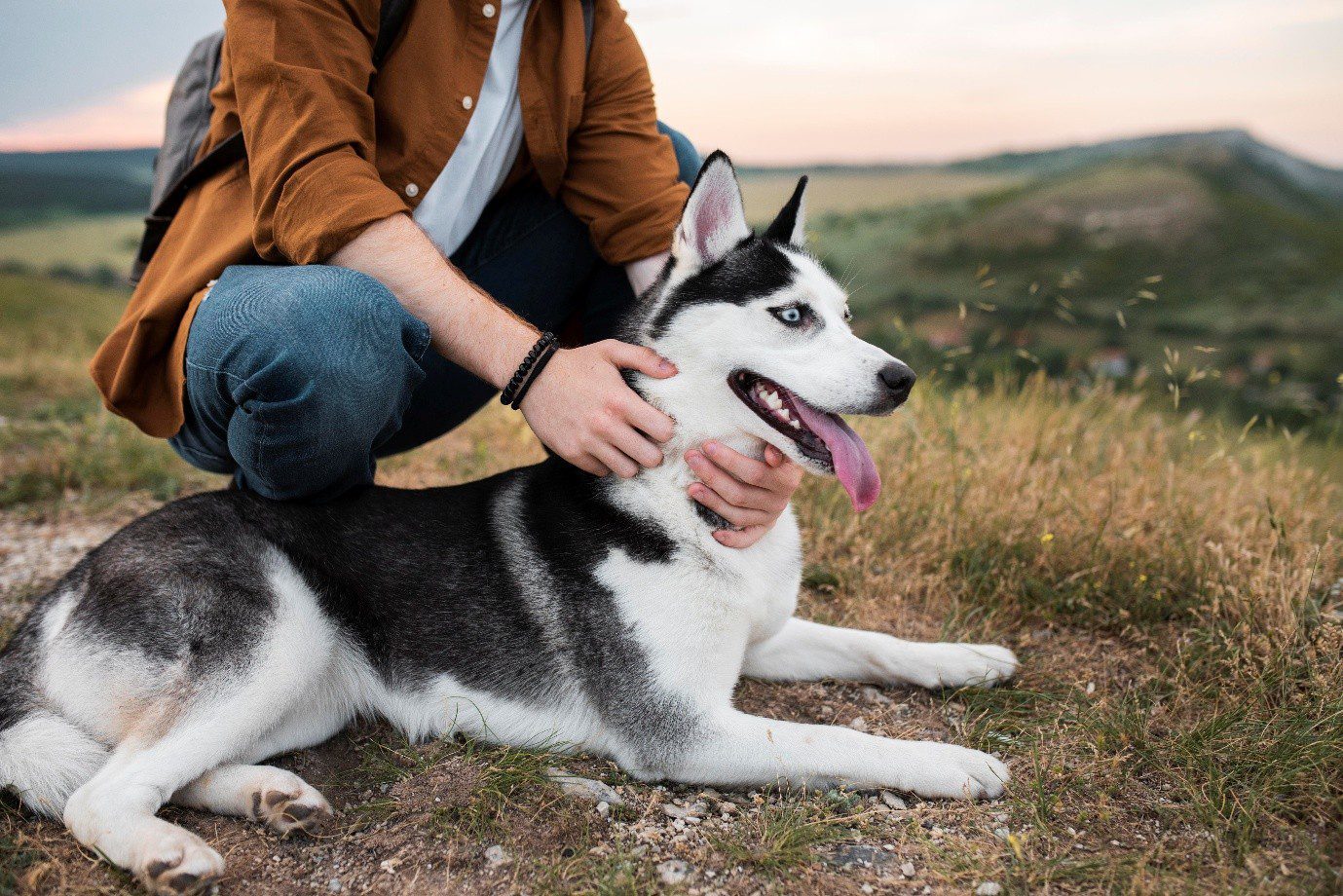 behavioral dog training near me