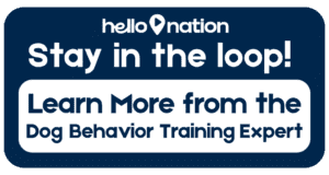 Canine behavioral services expert website button