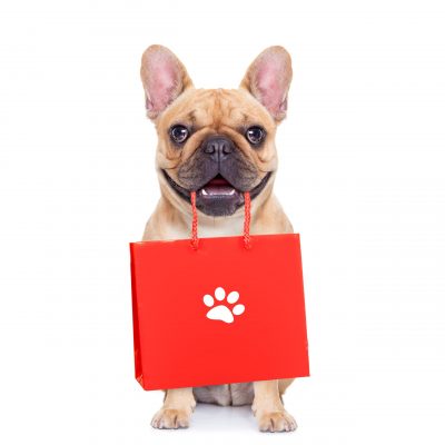 French bulldog  dog with shopping bags ready for discount and sale at the  mall, isolated on white background