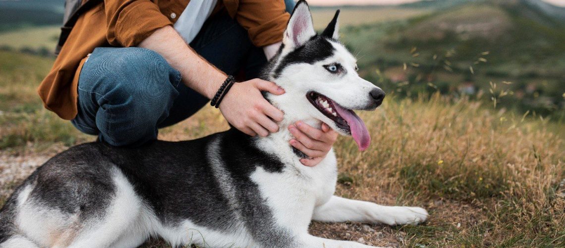 behavioral dog training near me